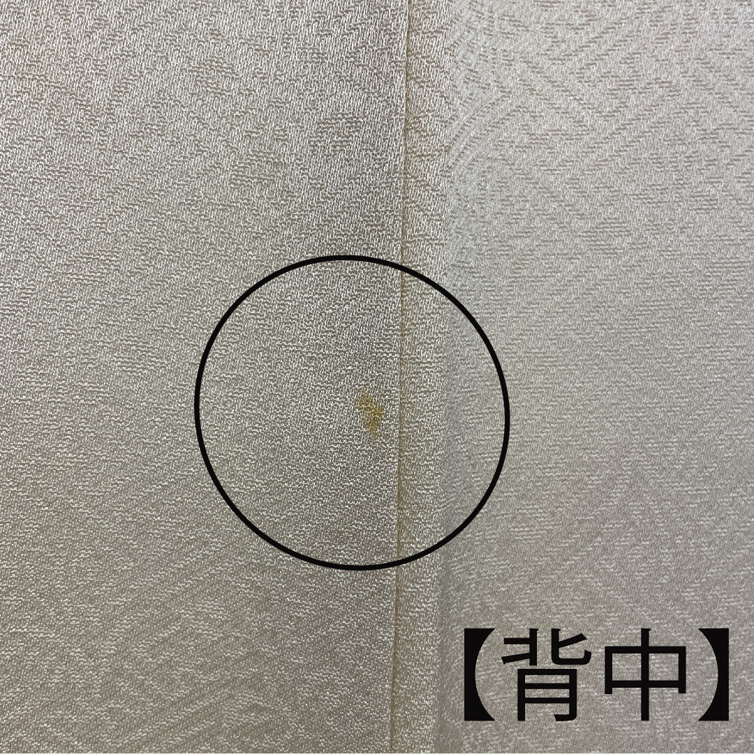 色留袖 身丈157cm 裄丈64cm 袷 東京友禅 正絹 Bランク 三つ紋 クリーム系 1111000284315