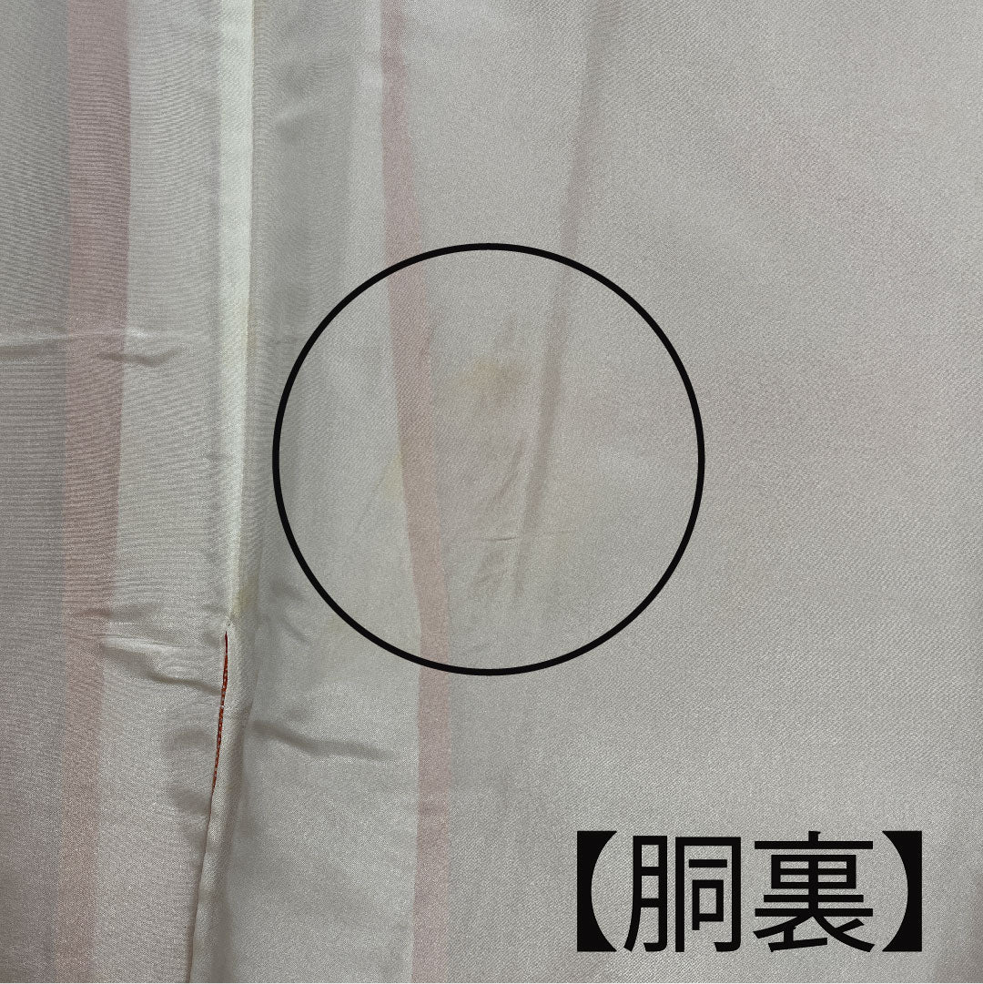 小紋 身丈148cm 裄丈60cm 袷 江戸小紋 流水 鮫 人参色 正絹 Cランク 朱系 1115002145116