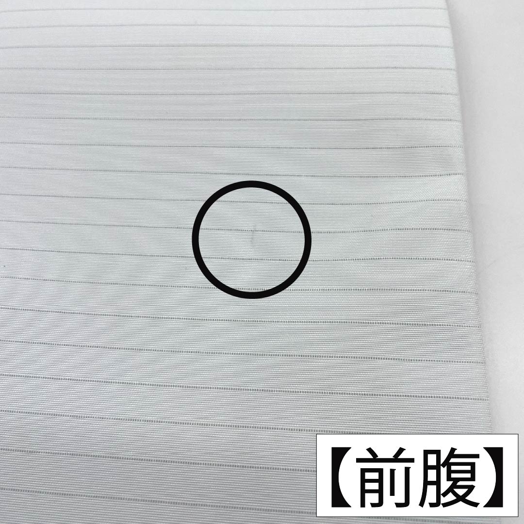 名古屋帯 正絹 Aランク 名古屋仕立て 露芝模様 古典柄 夏帯 長尺 帯丈376.5cm ポイント柄 カジュアル 青系 1124013203317