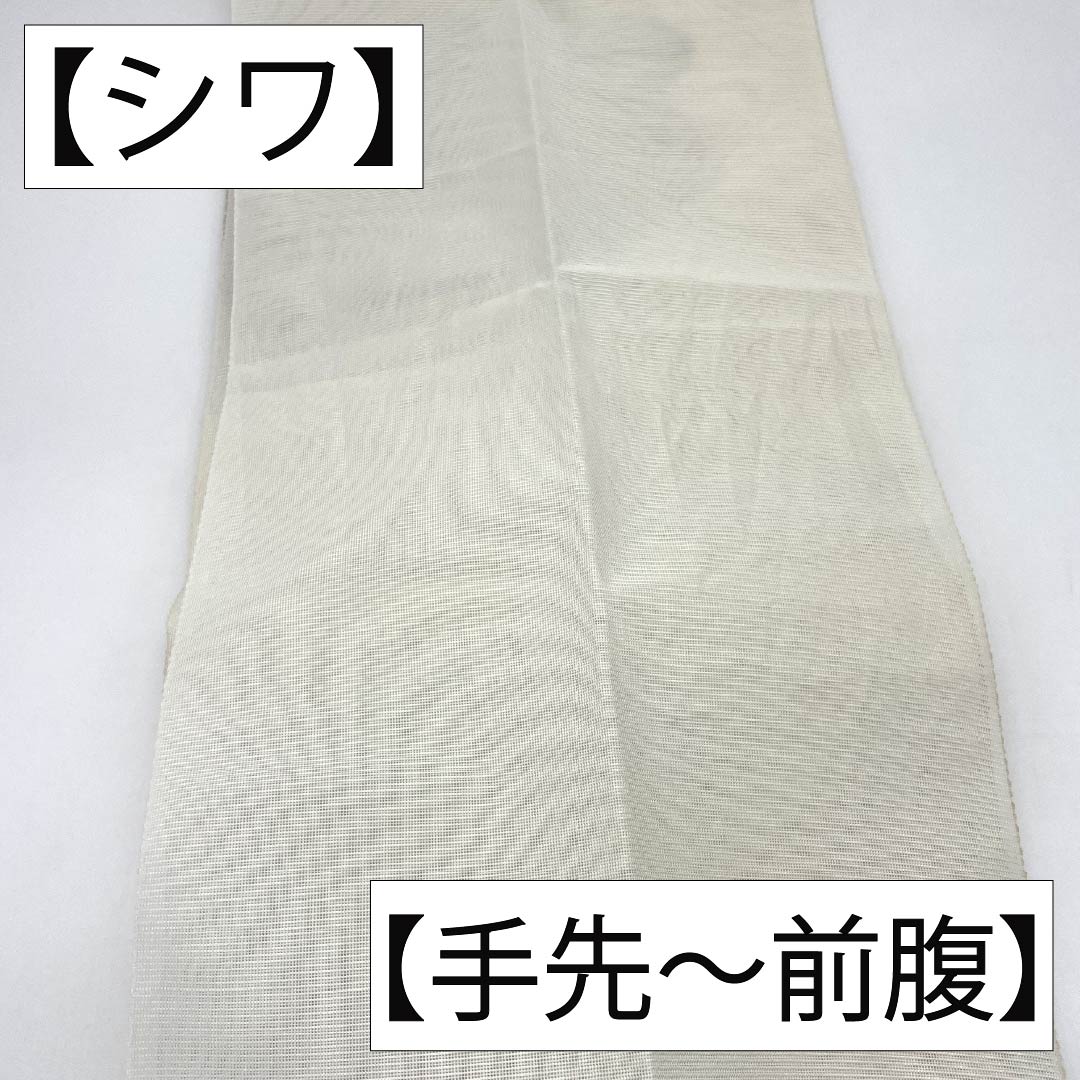 名古屋帯 正絹 Aランク 松葉仕立て 乳白色(にゅうはくしょく) 抽象植物模様 夏帯 長尺 帯丈380cm ポイント柄 セミフォーマル 白系 1124013133411