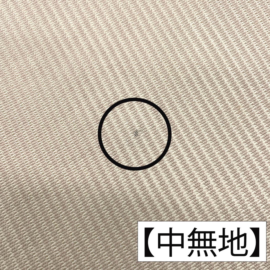 名古屋帯 正絹 Aランク 名古屋仕立て 砥粉色(とのこいろ) 植物柄 夏帯 帯丈368cm ポイント柄 セミフォーマル ベージュ系 1124013393325
