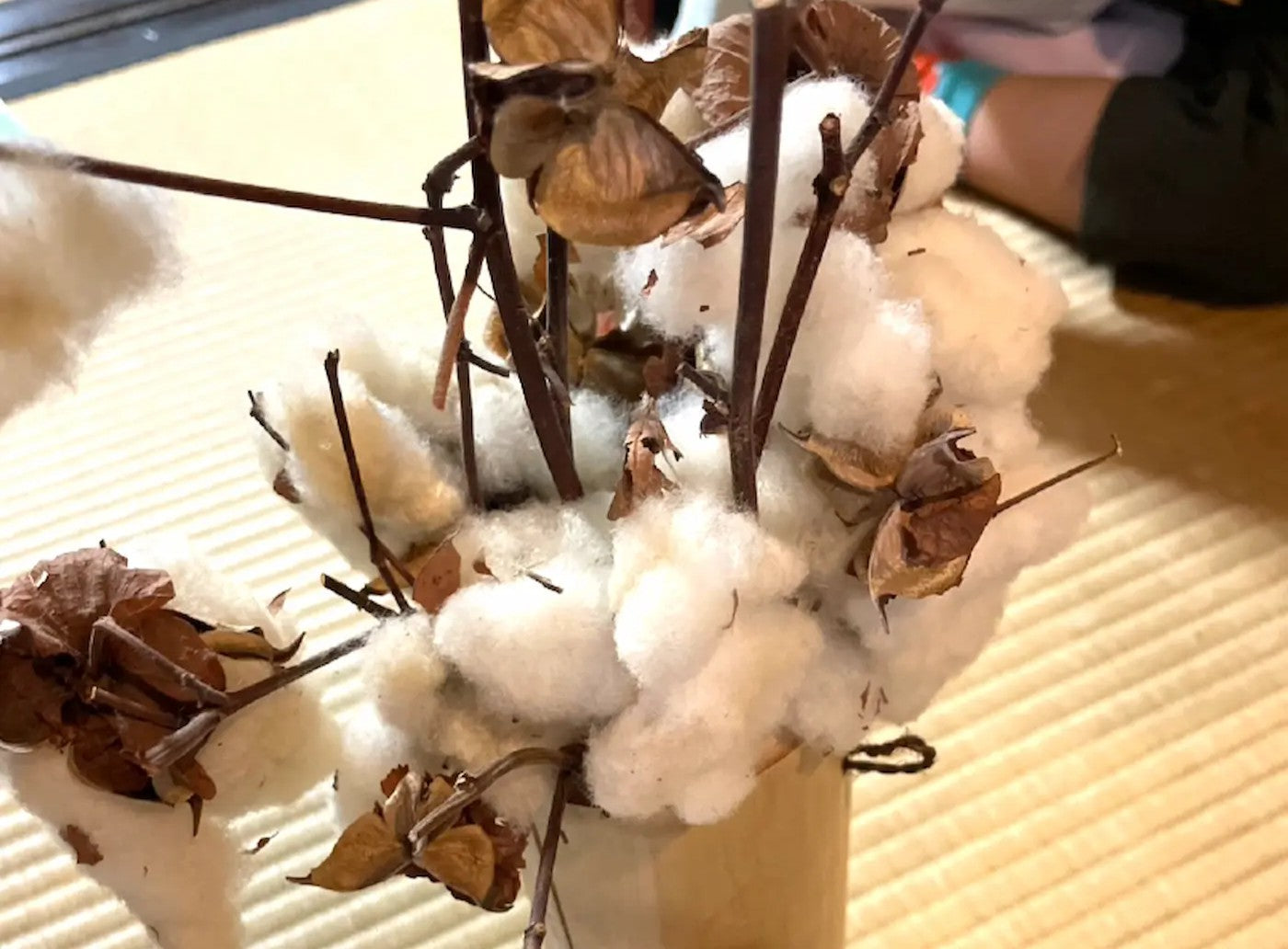 糸を紡いできました