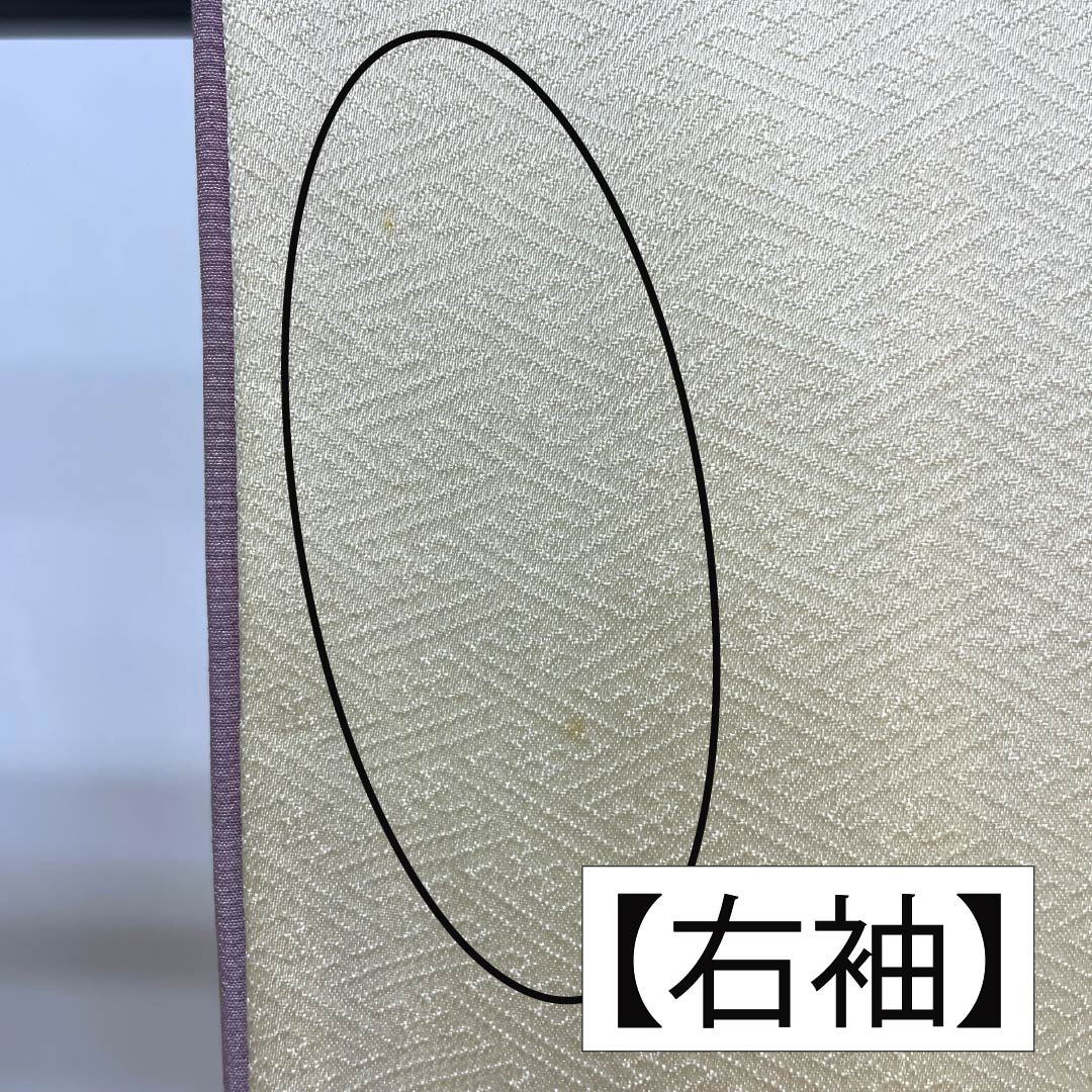 訪問着 正絹 Bランク 袷 身丈154.5cm 裄丈64cm 生成り色（きなりいろ） 福田喜重 人間国宝 一つ紋 上田家桐 刺繍 クリーム系 1112006824215
