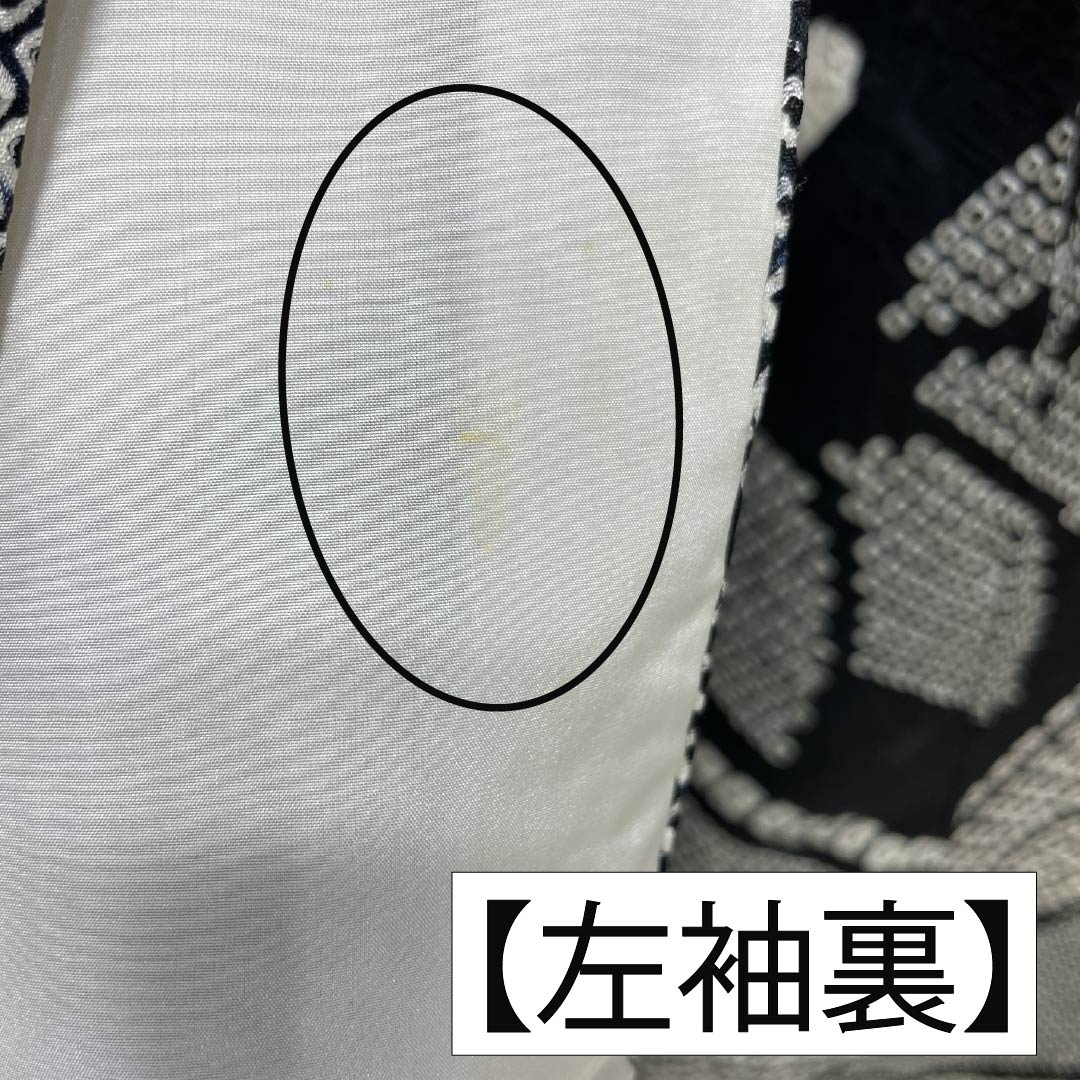 訪問着 正絹 Bランク 袷 身丈161cm 裄丈64.5cm 絞り 銀駒刺繍 重ね衿付き 紗綾形 笹 草花 モノトーン 1112007344427