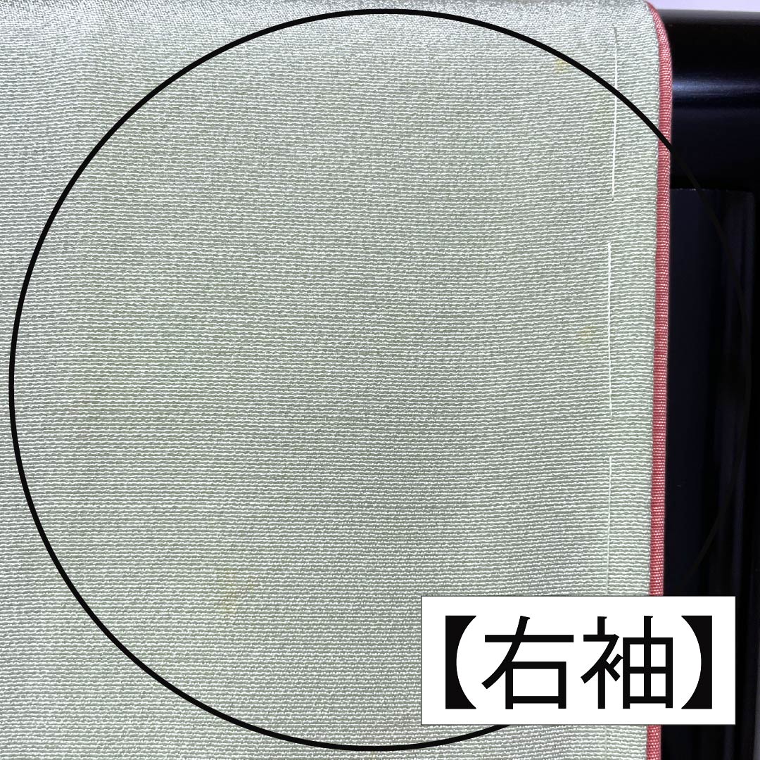 訪問着 正絹 Bランク 袷 身丈165cm 裄丈65.5cm 薄緑色（うすみどりいろ） 花 作家物 周市 しつけ糸付き 緑系 1112006974519