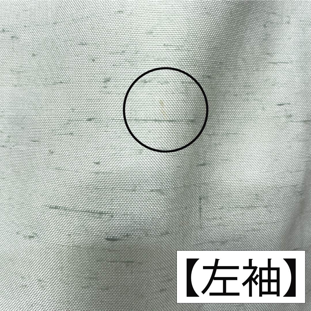 訪問着 正絹 Aランク 袷 身丈155cm 裄丈61cm 薄緑色（うすみどりいろ） 牛首紬 一つ紋 中陰蔦 草花 緑系 1112007533319