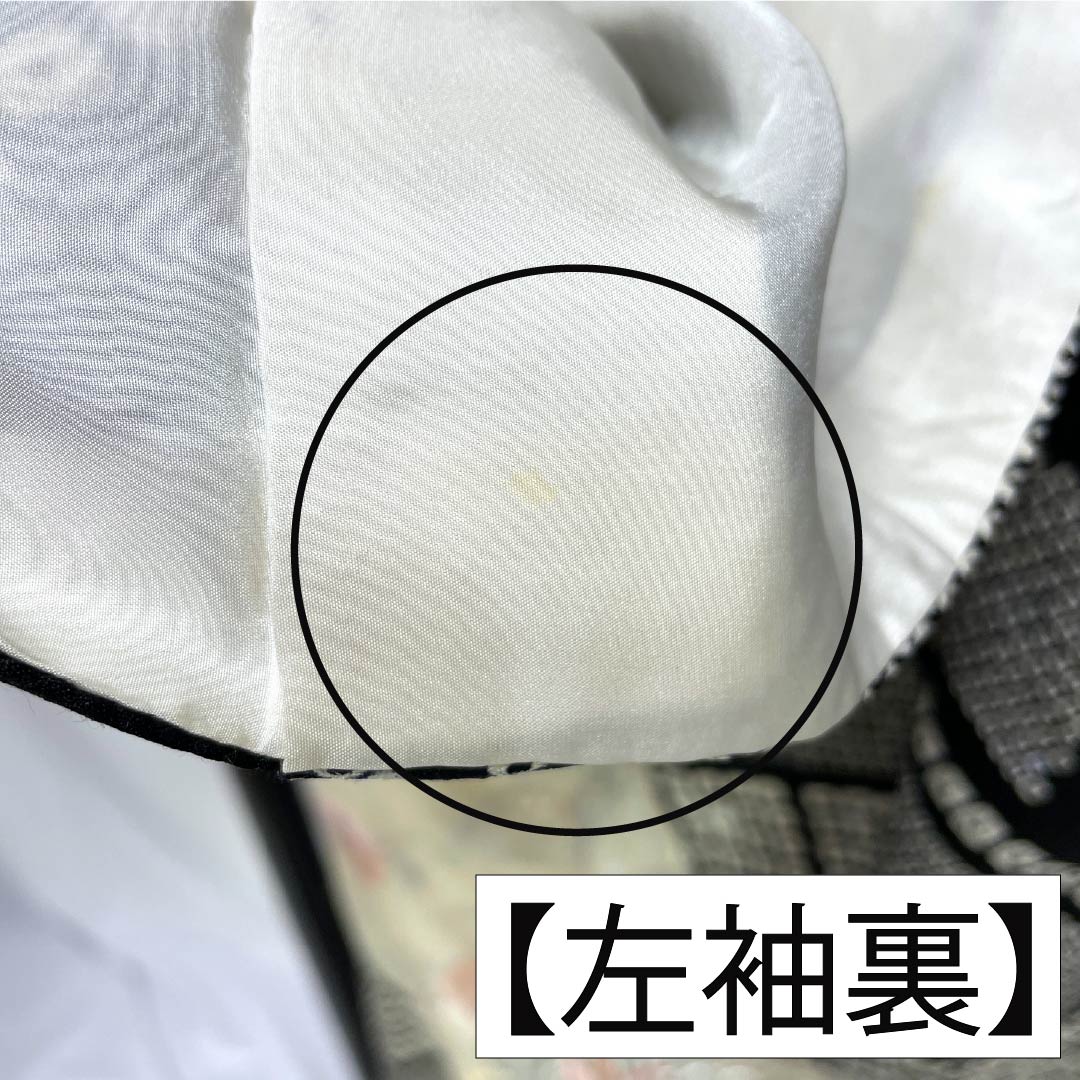 訪問着 正絹 Bランク 袷 身丈161cm 裄丈64.5cm 絞り 銀駒刺繍 重ね衿付き 紗綾形 笹 草花 モノトーン 1112007344427