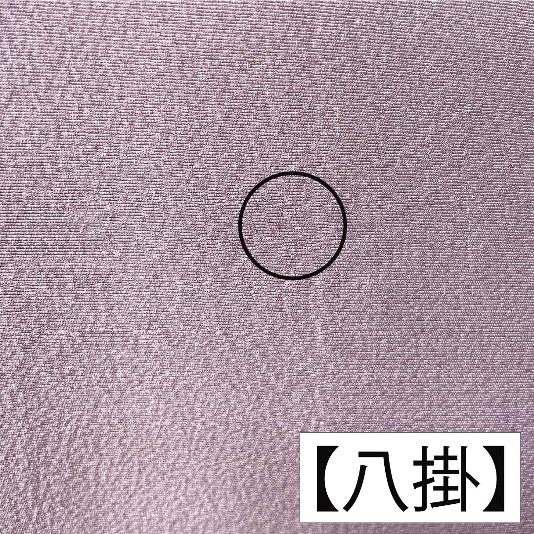 訪問着 正絹 Bランク 袷 身丈165.5cm 裄丈67.5cm 淡紅藤色（うすべにふじいろ） 付下げ 草花 紫系 1112007404520