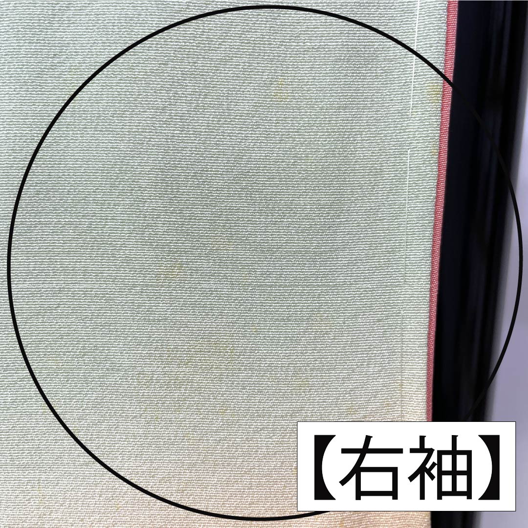 訪問着 正絹 Bランク 袷 身丈165cm 裄丈65.5cm 薄緑色（うすみどりいろ） 花 作家物 周市 しつけ糸付き 緑系 1112006974519