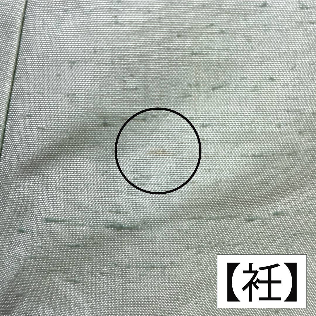 訪問着 正絹 Aランク 袷 身丈155cm 裄丈61cm 薄緑色（うすみどりいろ） 牛首紬 一つ紋 中陰蔦 草花 緑系 1112007533319