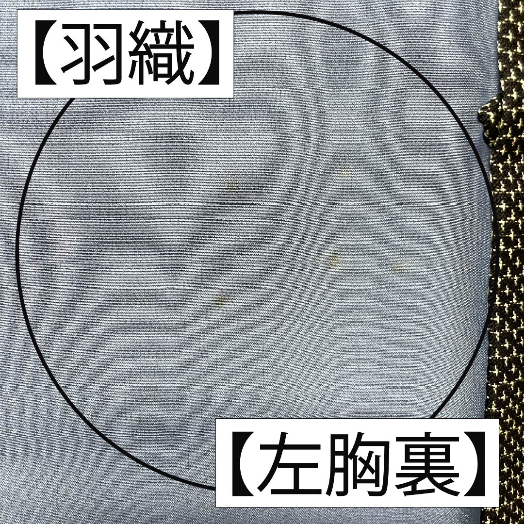Men's Silk B-Rank Kimono, Length 139cm, Sleeve Length 68.5cm, Small Kasuri Pattern, Tortoise Shell Pattern, Lined, Black, Product Number: 1119001424310