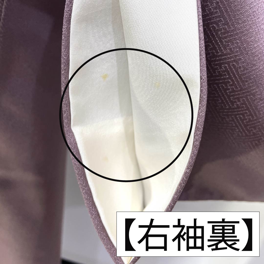 訪問着 正絹 Bランク 袷 身丈164cm 裄丈64.5cm 紅掛鼠色（べにかけねずいろ） 京友禅 一つ紋 草木 紫系 1112007044420