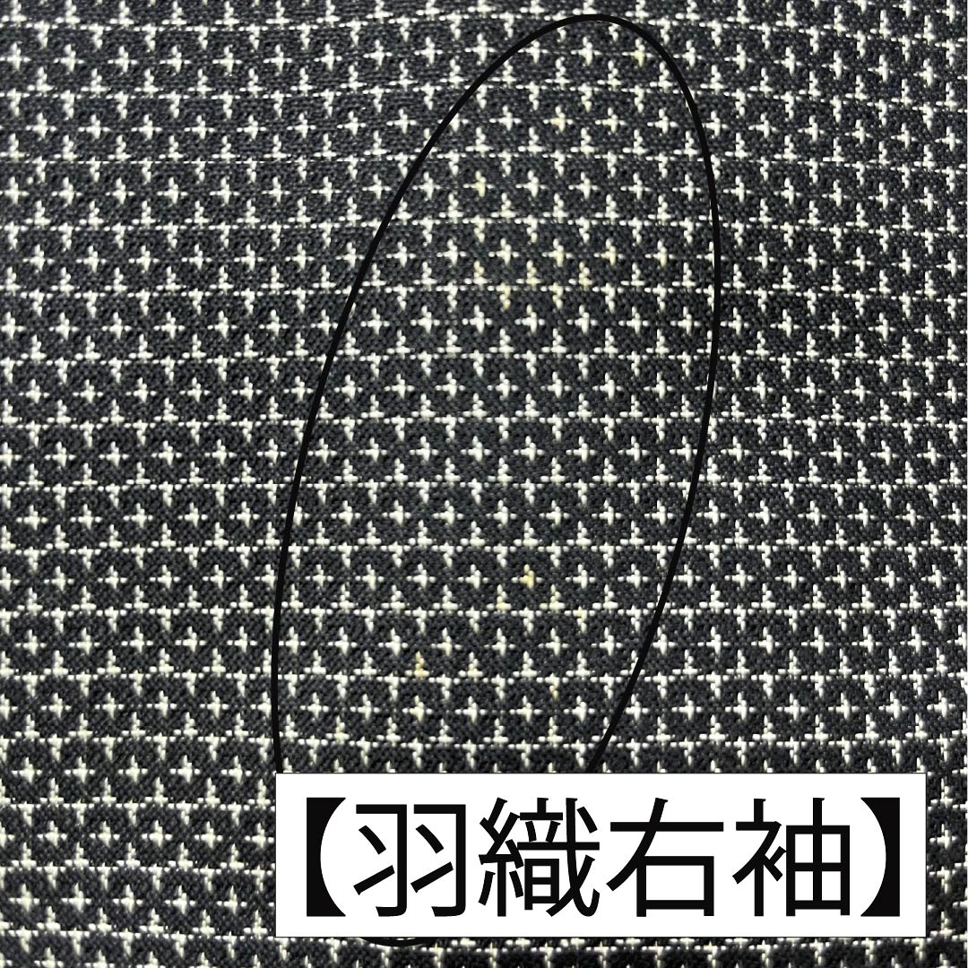 Men's Silk B-Rank Kimono, Length 139cm, Sleeve Length 68.5cm, Small Kasuri Pattern, Tortoise Shell Pattern, Lined, Black, Product Number: 1119001424310