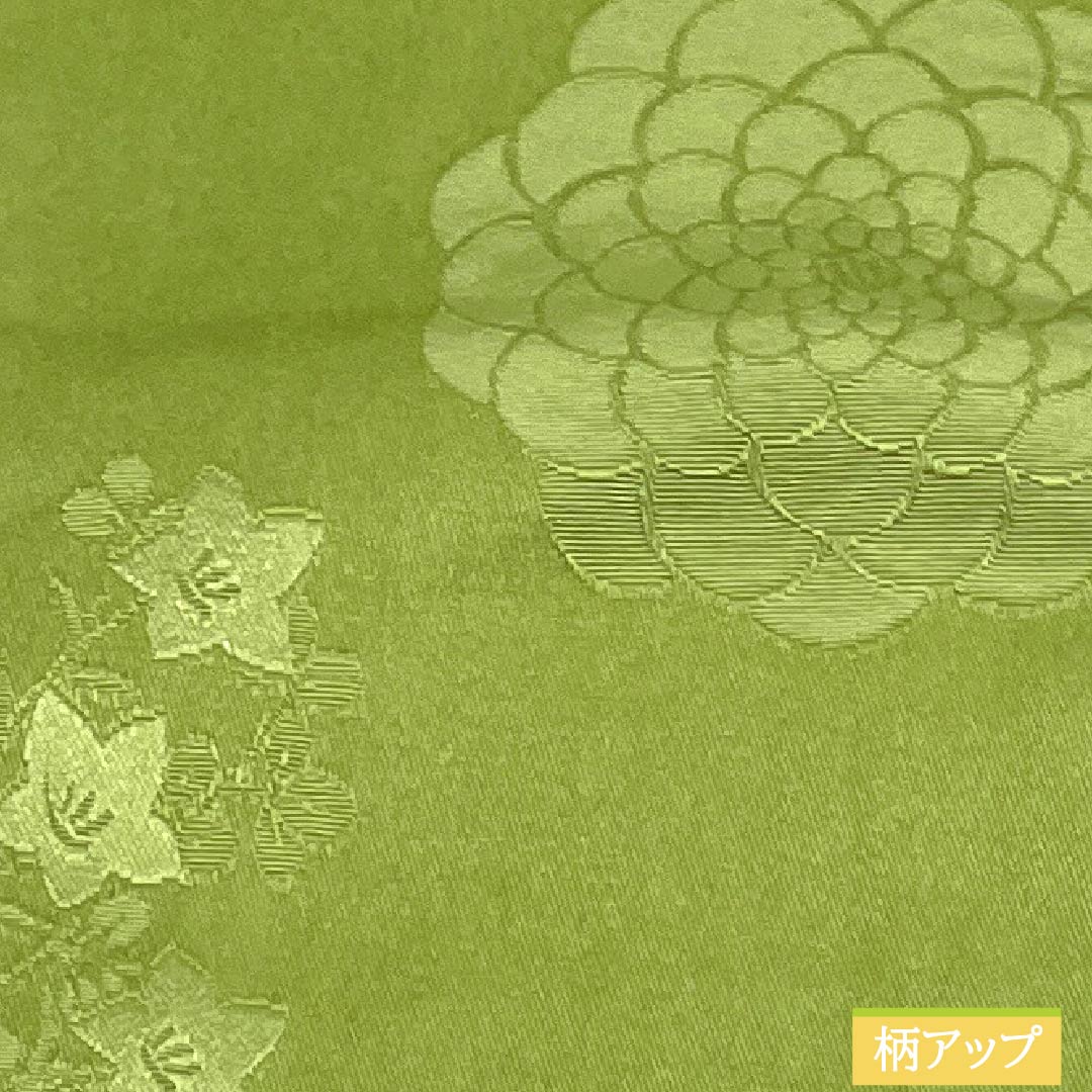 半幅帯 ポリエステル Sランク 若菜色（わかないろ） 黒色（くろいろ） リバーシブル 菊 桔梗 帯丈356cm マルチカラー 1125004542328