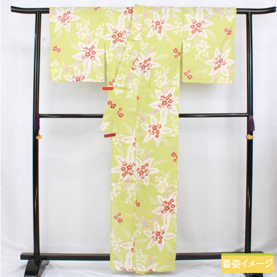 浴衣 木綿 身丈161.5cm 裄丈66cm Sランク 単衣 緑系 若芽色（わかめいろ） 百合 秋桜 1118006382419