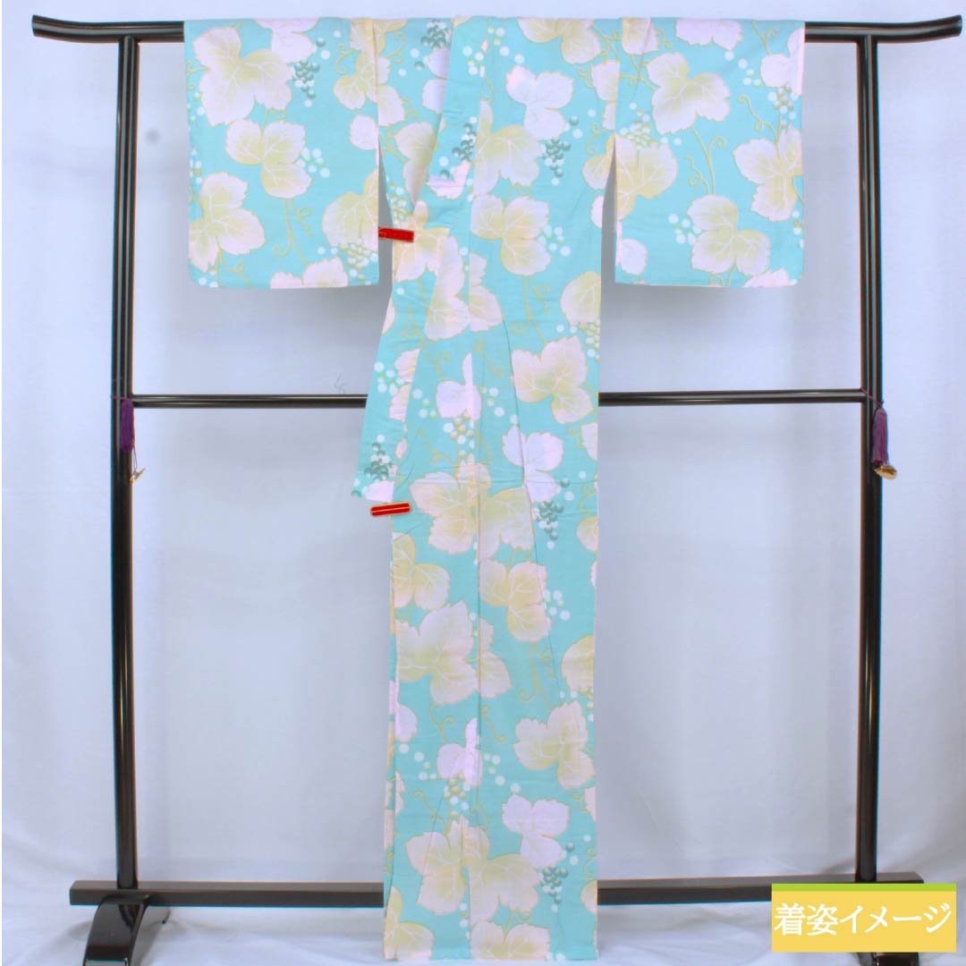 浴衣 木綿 身丈166cm 裄丈64cm Aランク 単衣 水色系 水色（みずいろ） 蒲萄 蔦 1118006503524