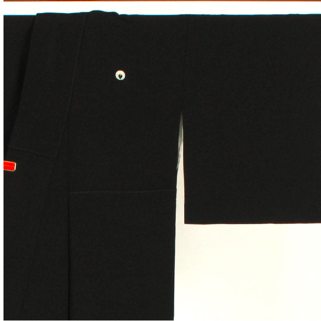 黒留袖 身丈161.5cm 裄丈66cm 袷 作家物 風景模様 下がり藤 正絹 Aランク 五つ紋 黒系 1111000353410