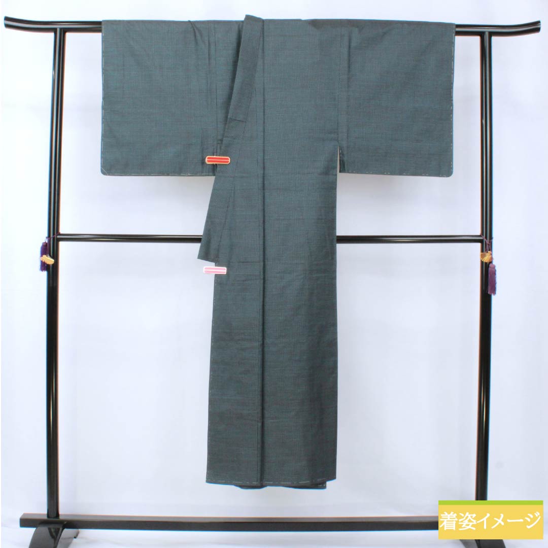 男物 正絹 Sランク 身丈141cm 裄丈67.5cm 裏色（うらいろ） 大島紬 100亀甲 アンサンブル 袷 青系 1119001392417