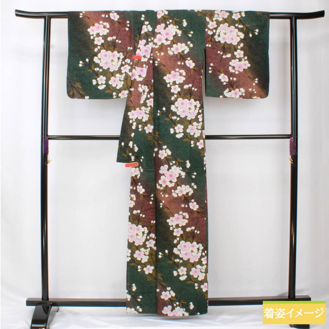 浴衣 木綿 身丈162cm 裄丈68cm Bランク 単衣 グラデーション系 萌葱色（もえぎいろ） 長春色（ちょうしゅんいろ） 桜 1118005984499