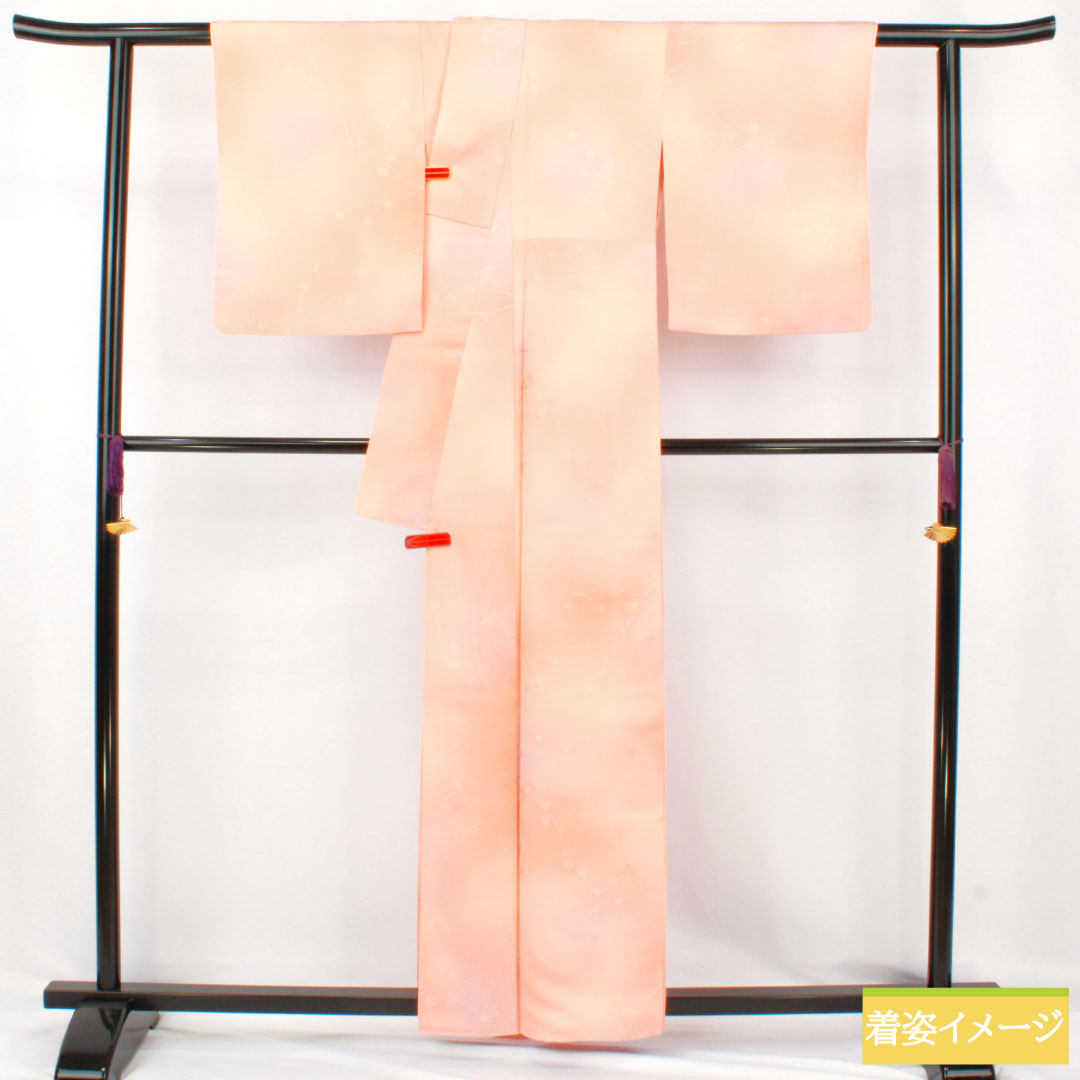 小紋 正絹 Sランク 身丈161.5cm 裄丈64.5cm 袷 ボカシ染 枝花 一つ紋 木瓜 グラデーション系 1115007672499