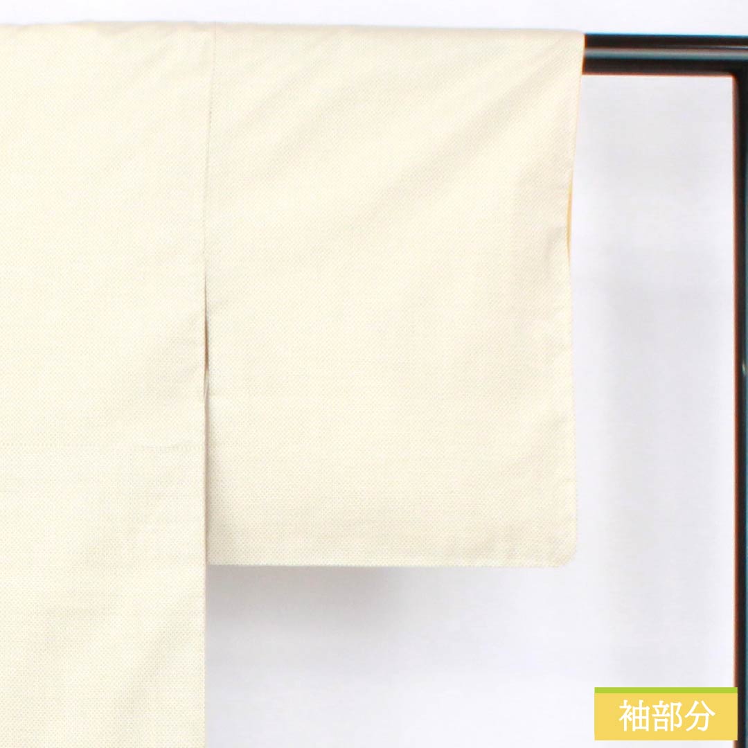 紬 正絹 Sランク 身丈157cm 裄丈63.5cm 生成り色（きなりいろ） 白大島 蚊絣 しつけ糸付き 袷 白系 1116004362311