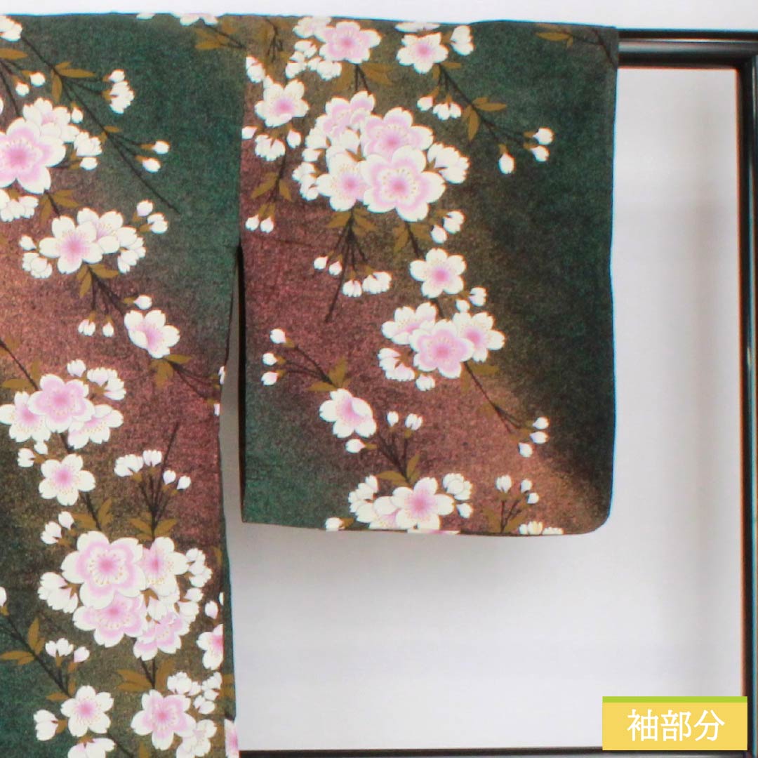 浴衣 木綿 身丈162cm 裄丈68cm Bランク 単衣 グラデーション系 萌葱色（もえぎいろ） 長春色（ちょうしゅんいろ） 桜 1118005984499