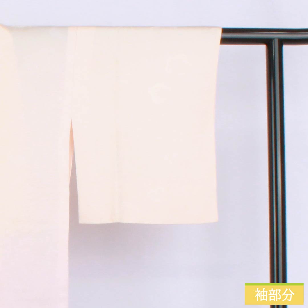 長襦袢 正絹 Sランク 身丈125.5cm 裄丈61.5cm 単衣 乙女色（おとめいろ） 白藤色（しらふじいろ） ちりめん地 梅 グラデーション系 1129000812399