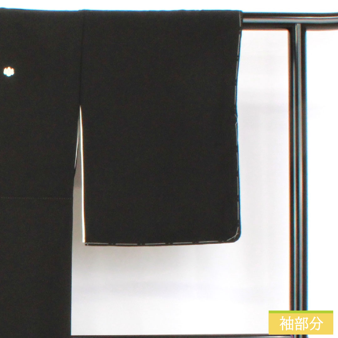 Black formal kimono, pure silk, length 162.5cm, sleeve length 64cm, lined, Kyoto Yuzen, crane, pine, artist's work, five crests, five-three paulownia, A rank, black, 1111001623410