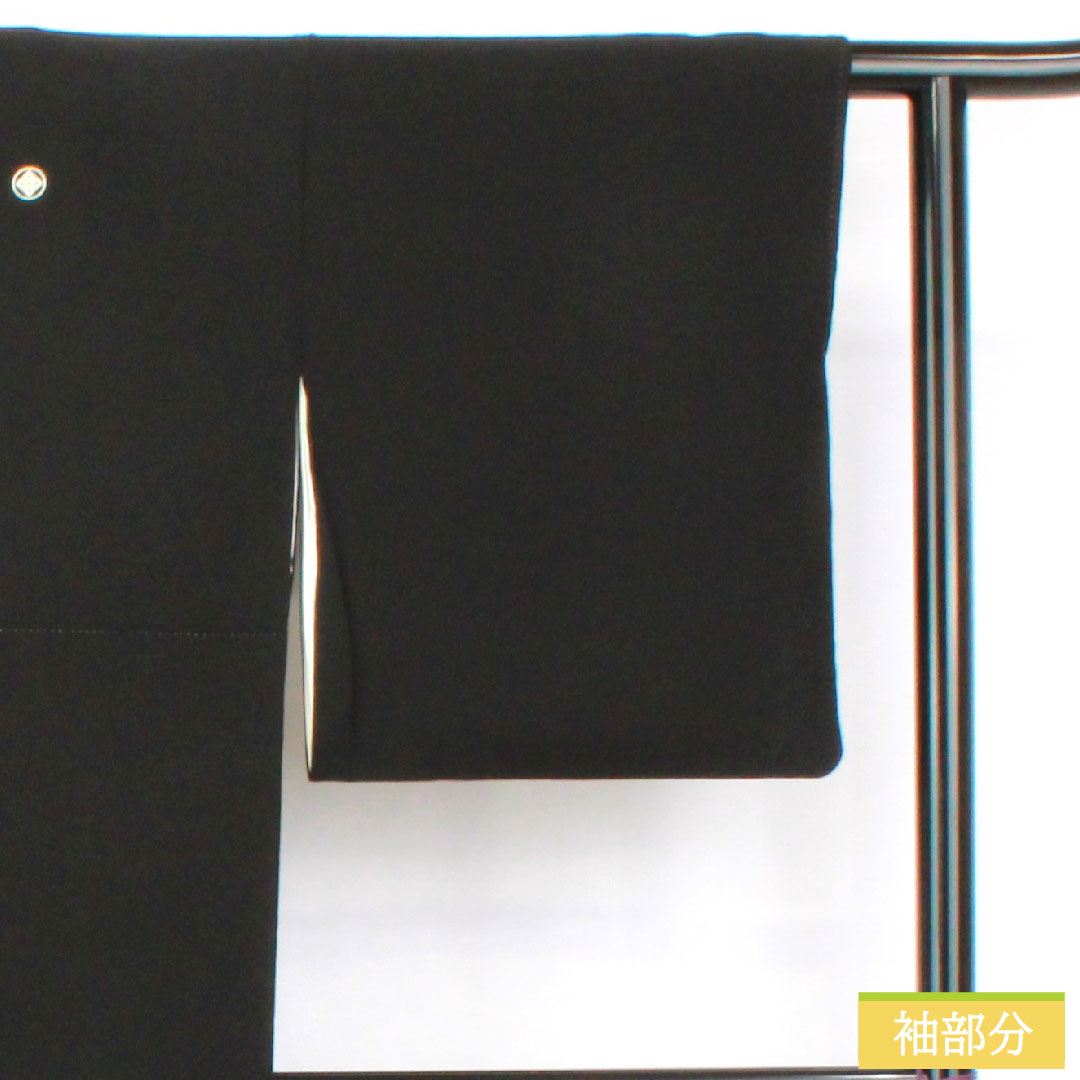 Black formal kimono, pure silk, length 162.5cm, sleeve length 69cm, lined, Kyoto Yuzen, feudal lord procession, artist work, Matsuo Korin, five crests, circle with four corners, A rank, black, 1111001603410