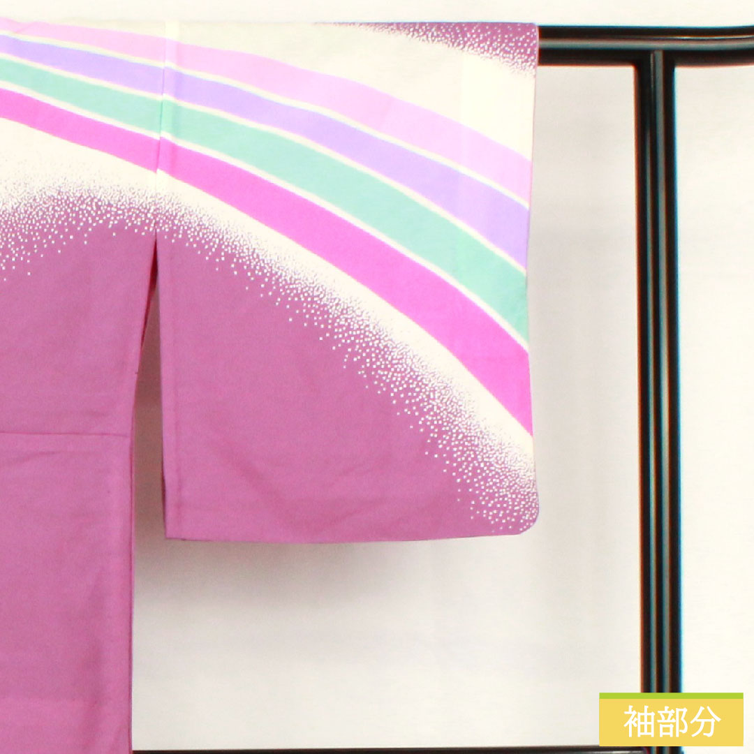 Homongi (formal kimono) made of polyester, single layer, length 161.5cm, sleeve length 66.5cm, aoi-iro (blue color), washable kimono, A rank, purple, 1112005383420