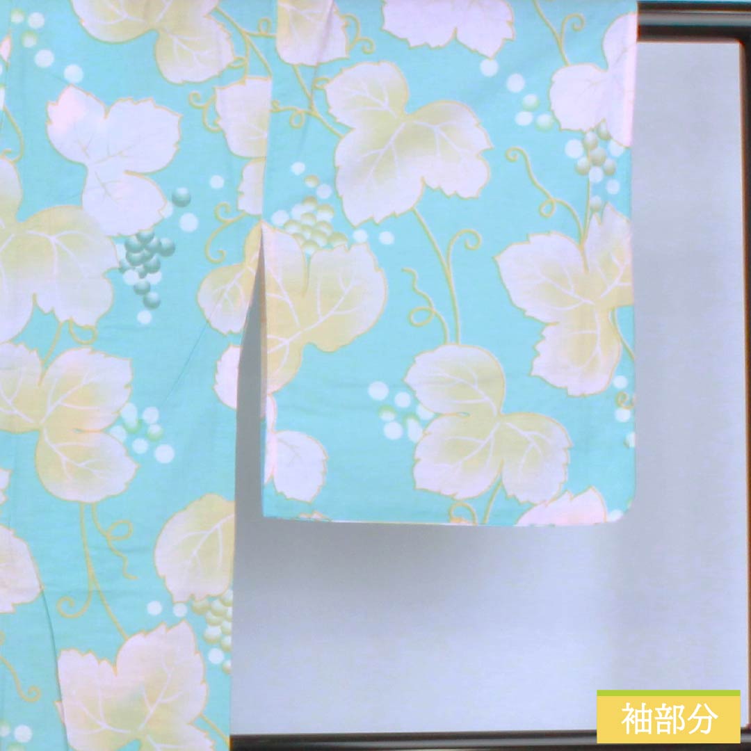 浴衣 木綿 身丈166cm 裄丈64cm Aランク 単衣 水色系 水色（みずいろ） 蒲萄 蔦 1118006503524