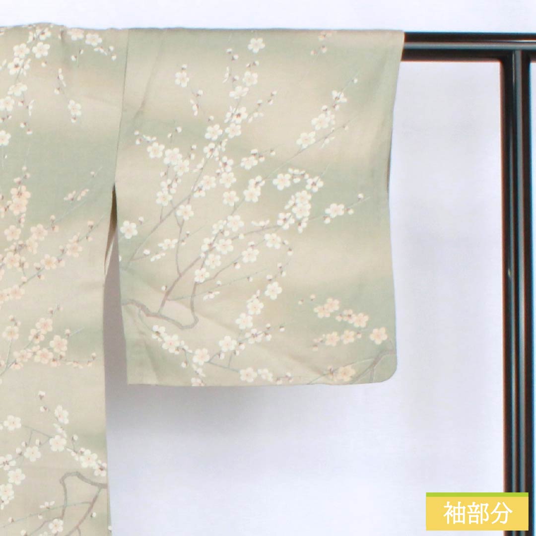 Komon Polyester S Rank Length 161cm (63.4in) Sleeve-to-sleeve 66cm (26.0in) Unlined Enshū-nezumi (Muted Gray) Stenciled Dyeing Gradated Dyeing Cherry Blossom Washable Kimono Beige-tone 1115007802425