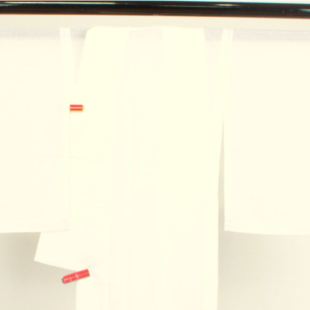 長襦袢 ポリエステル 身丈139cm 裄丈66cm 夏物  洗える着物 絽  Sランク 白系 1129000442511