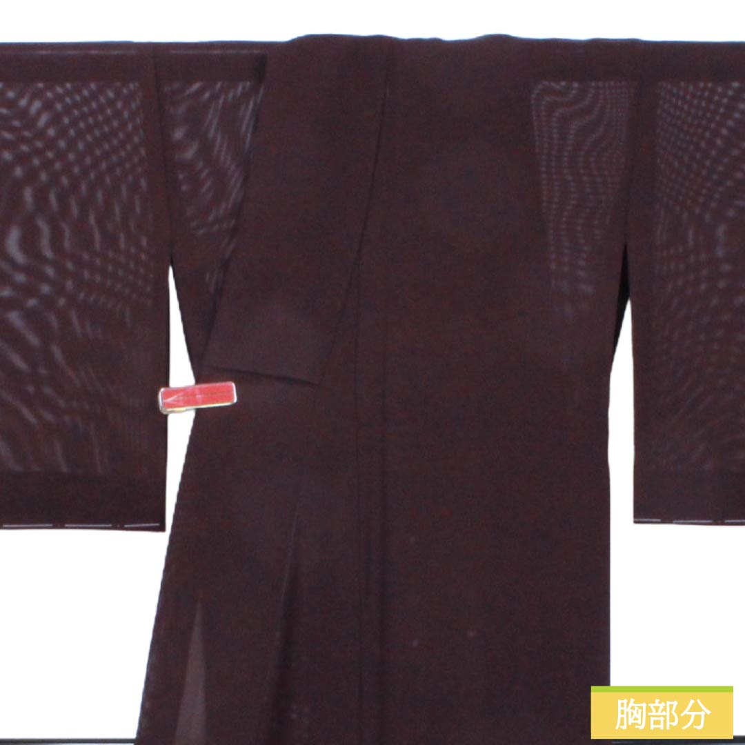 夏物 正絹 付下げ Sランク 身丈158cm 裄丈66cm 紫烏色（しうしょく） 燕 絽 紫系 1132007212320
