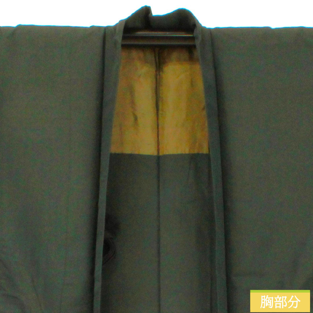 男物 正絹 Sランク 身丈88cm 裄丈66cm 錆鉄色（さびてついろ） 紬地 緑系 1119001642119