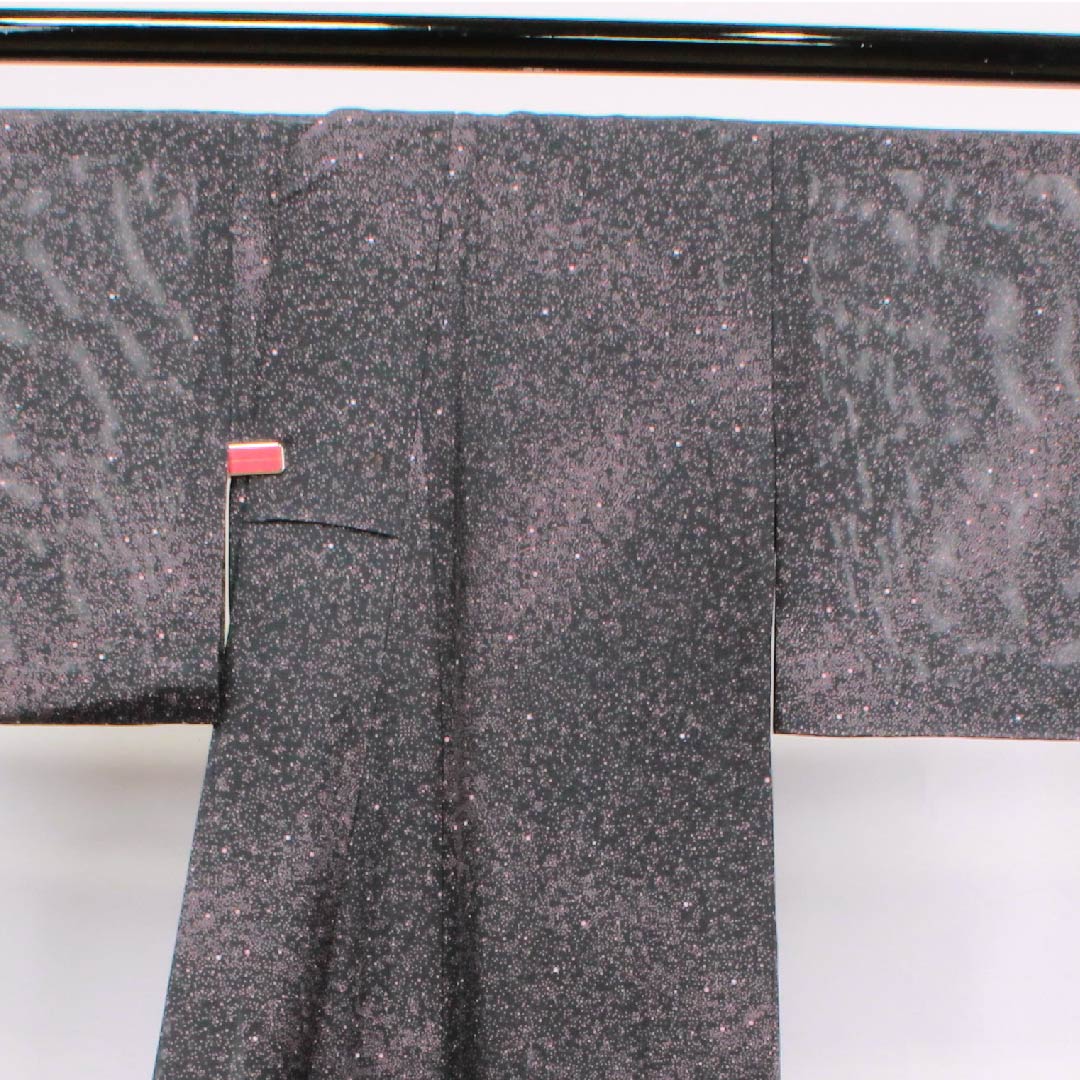夏物 正絹 小紋 身丈163.5cm 裄丈65cm 黒色 水玉 絽 Aランク 黒系 1132000113410