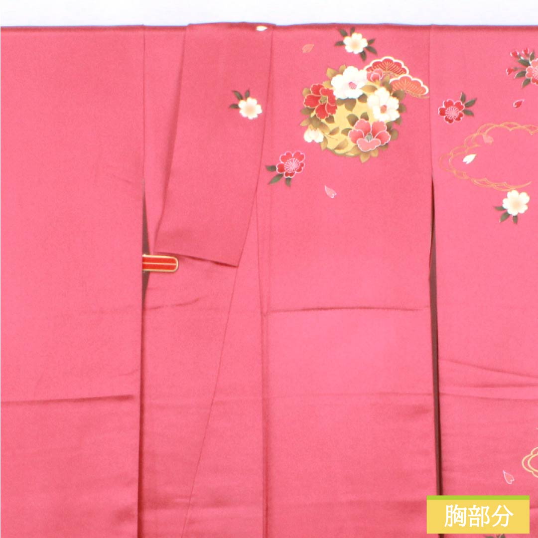 振袖 正絹 Aランク 身丈153.5cm 裄丈64cm 袷 紅鶸色（べにひわいろ） 京友禅 花丸文 牡丹 ソフトガード加工 ピンク系 1113002843213