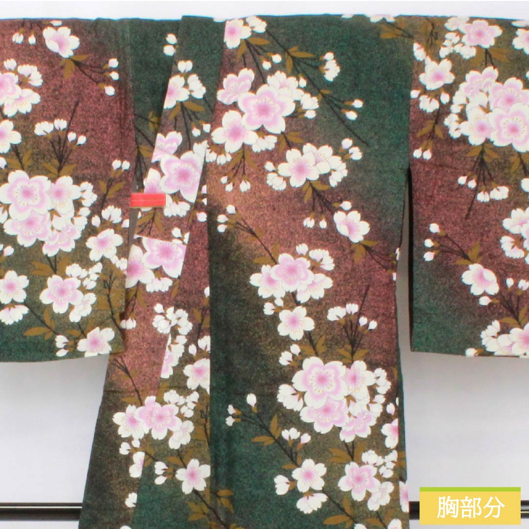 浴衣 木綿 身丈162cm 裄丈68cm Bランク 単衣 グラデーション系 萌葱色（もえぎいろ） 長春色（ちょうしゅんいろ） 桜 1118005984499