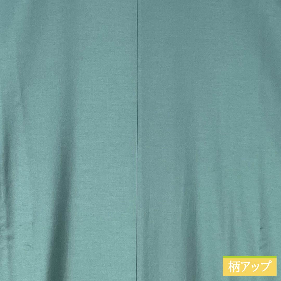 メンズ襦袢 ポリエステル Aランク 身丈135cm 裄丈64cm 深川御納戸色（ふかがわおなんどいろ） 無地 袷 緑系 1140000823319
