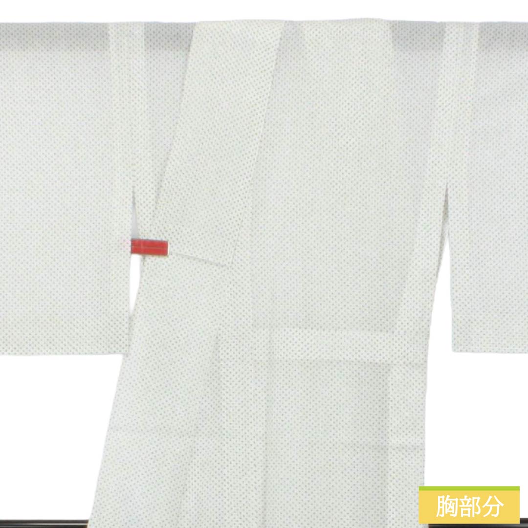 夏物 ポリエステル 小紋 Sランク 身丈160cm 裄丈65cm 洗える着物 蚊絣風 紗 白系 1132005622411