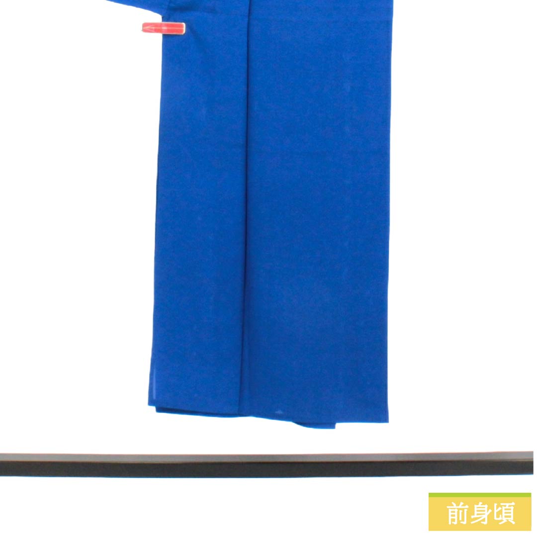 夏物 正絹 色無地 Sランク 身丈145.5cm 裄丈63cm 金碧珠色（きんぺきしゅいろ） 素無地 一つ紋 丸に蔦 絽 青系 1132004902117