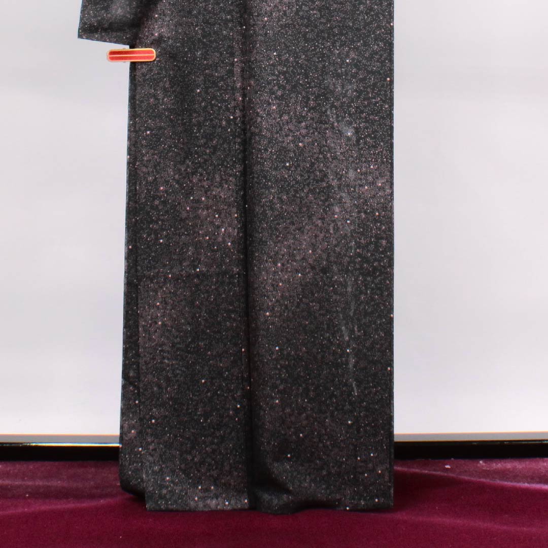 夏物 正絹 小紋 身丈163.5cm 裄丈65cm 黒色 水玉 絽 Aランク 黒系 1132000113410