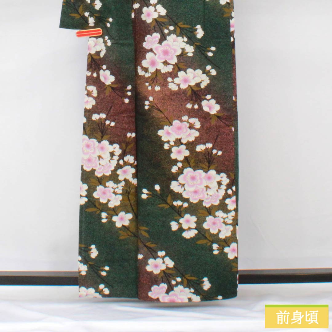 浴衣 木綿 身丈162cm 裄丈68cm Bランク 単衣 グラデーション系 萌葱色（もえぎいろ） 長春色（ちょうしゅんいろ） 桜 1118005984499
