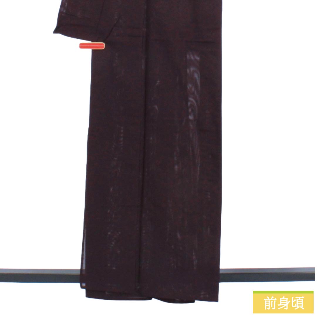 夏物 正絹 色無地 Aランク 身丈160.5cm 裄丈62.5cm 紫烏色（しうしょく） 木の葉 絽 紫系 1132004753420