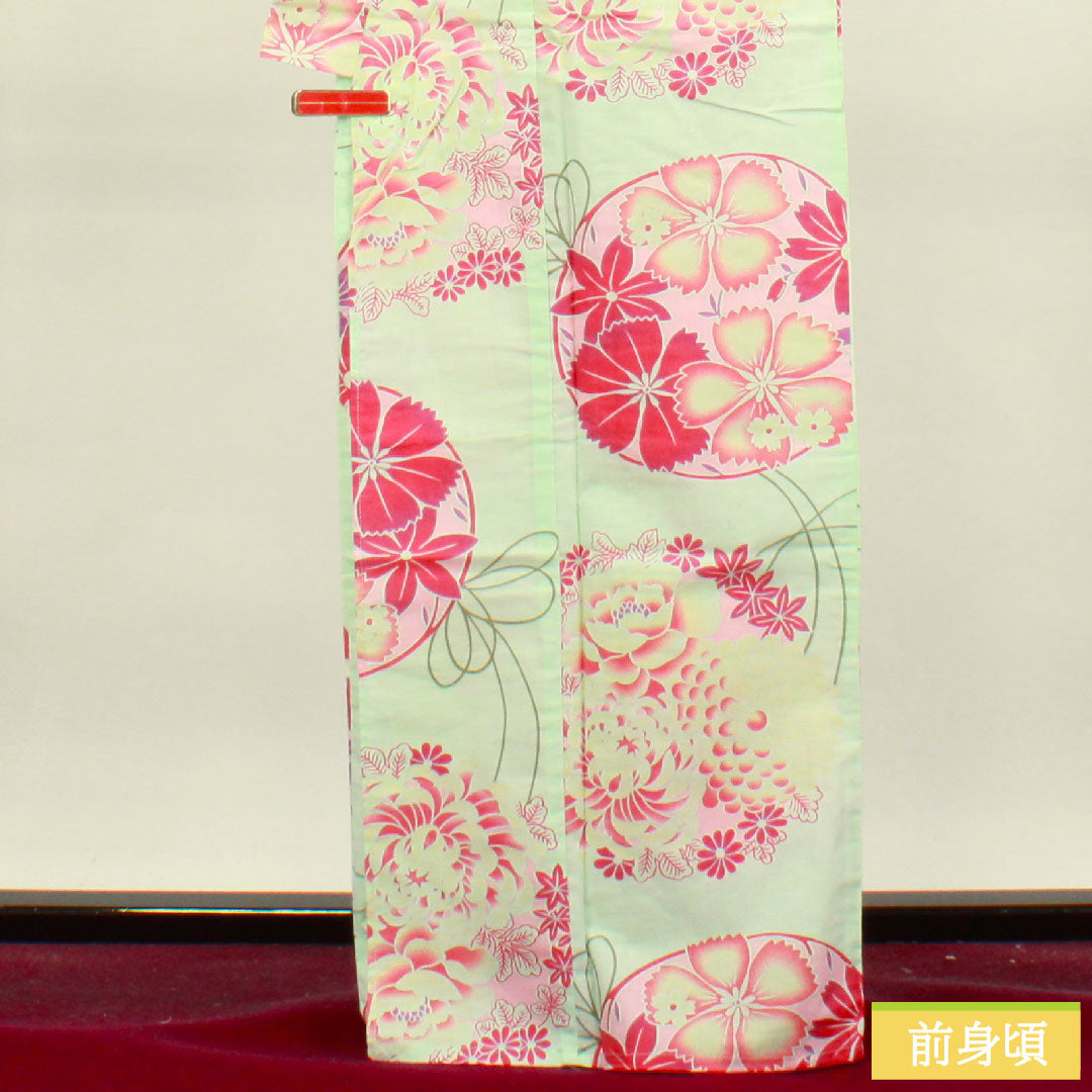 浴衣 木綿 身丈166.5cm 裄丈66cm Sランク 単衣 緑系 白緑色（びゃくろくいろ） 菊 撫子 1118004712519