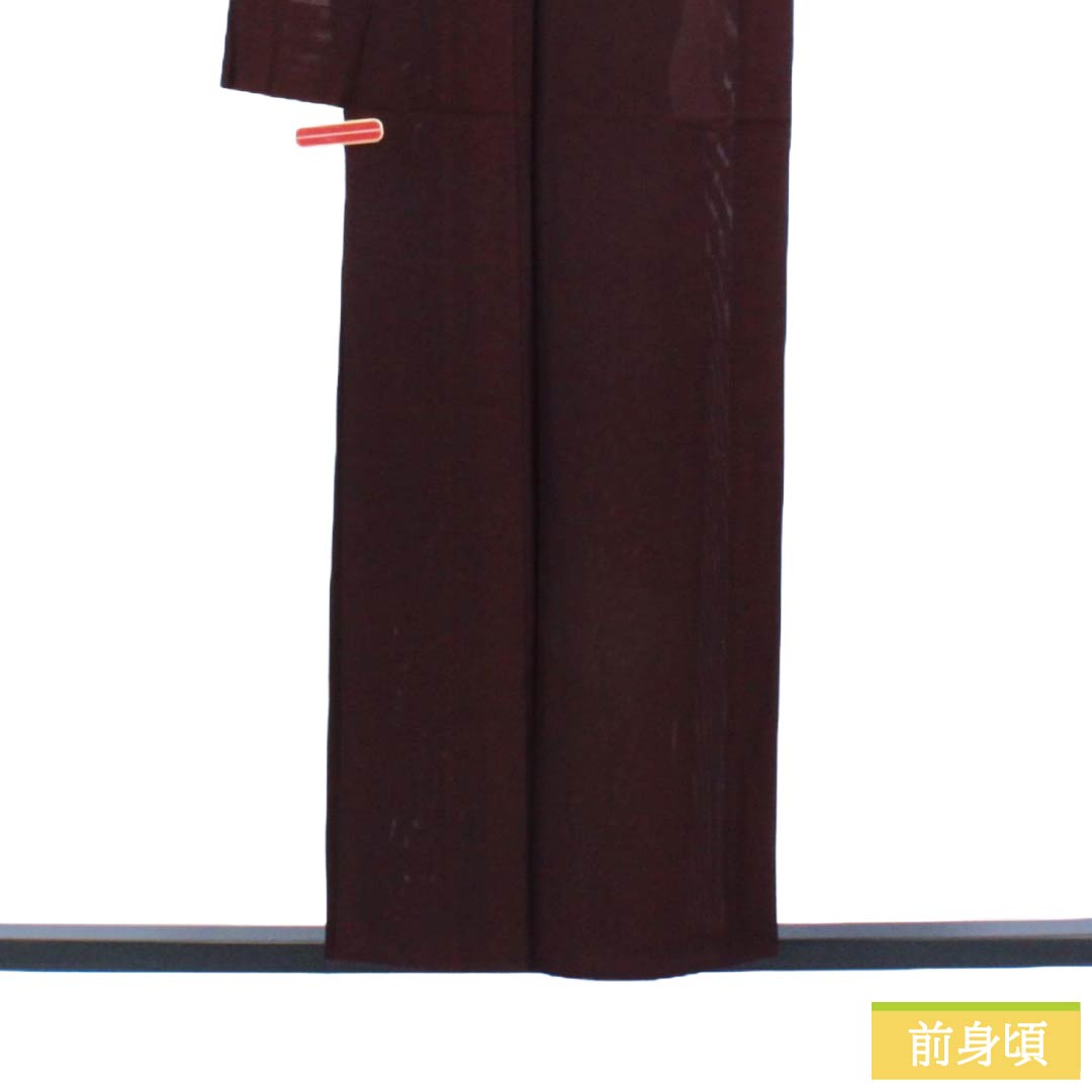 リサイクル着物】夏物 正絹 色無地 Sランク 身丈154.5cm 裄丈65cm 至極