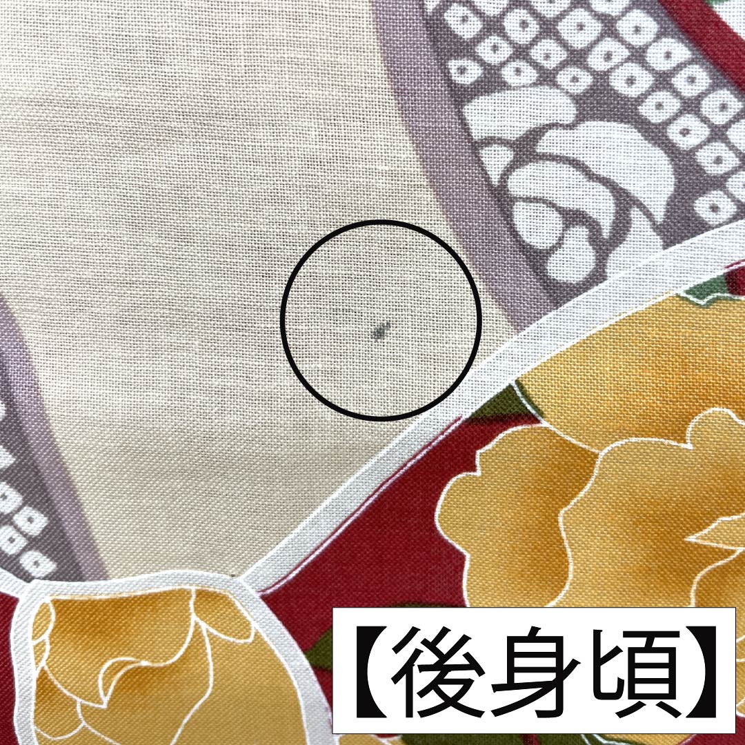 浴衣 木綿 Sランク 身丈167cm 裄丈66cm 生成り色（きなりいろ） リボン 薔薇 単衣 ベージュ系 1118007102525