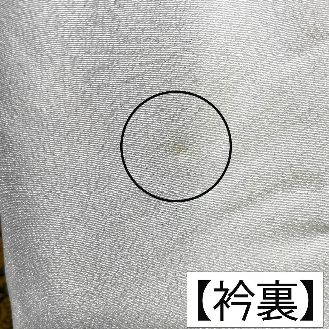 小紋 ポリエステル Aランク 身丈162cm 裄丈66cm 単衣 洗える着物 壁画模様 マルチカラー 1115008103428