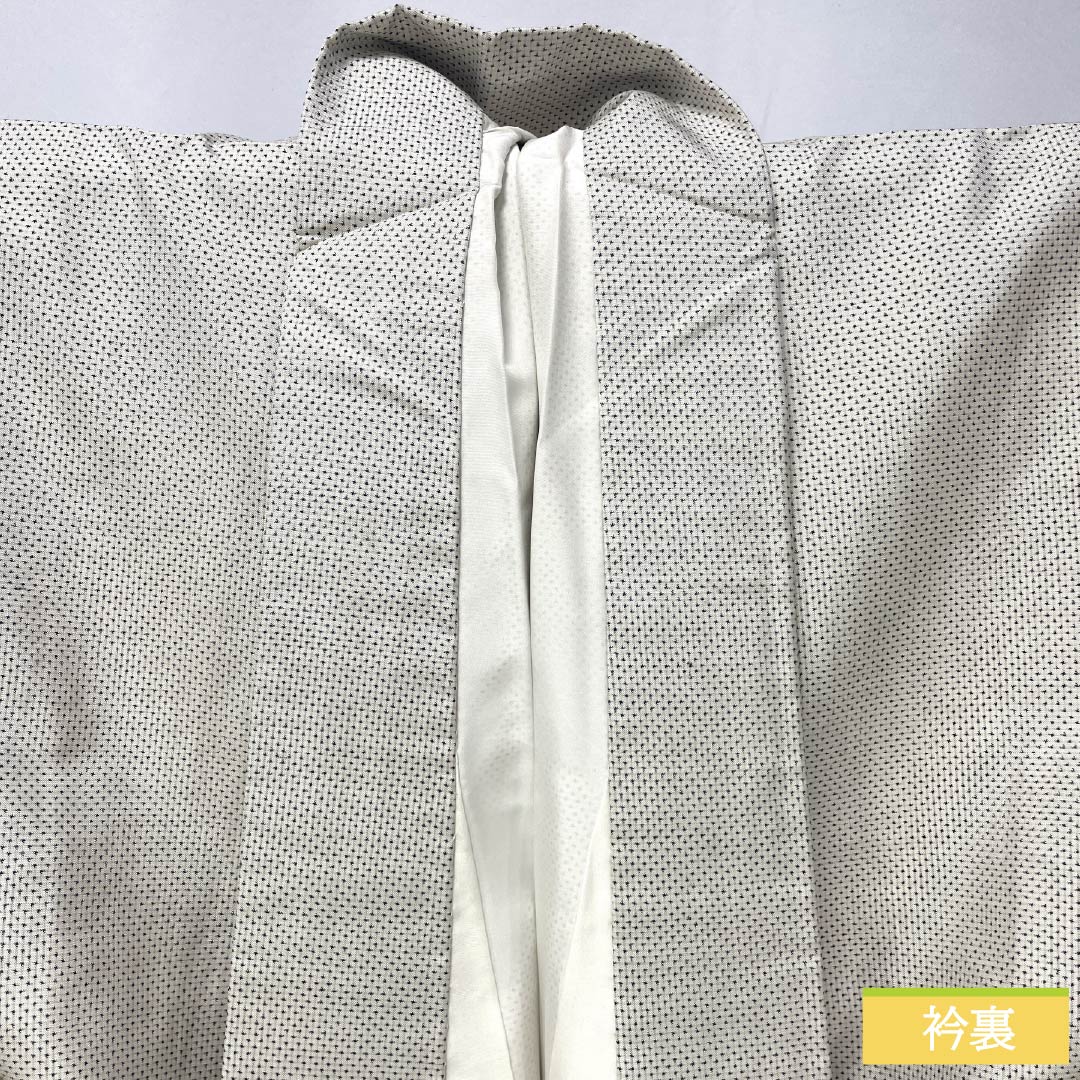 紬 正絹 Sランク 身丈157cm 裄丈63.5cm 生成り色（きなりいろ） 白大島 蚊絣 しつけ糸付き 袷 白系 1116004362311