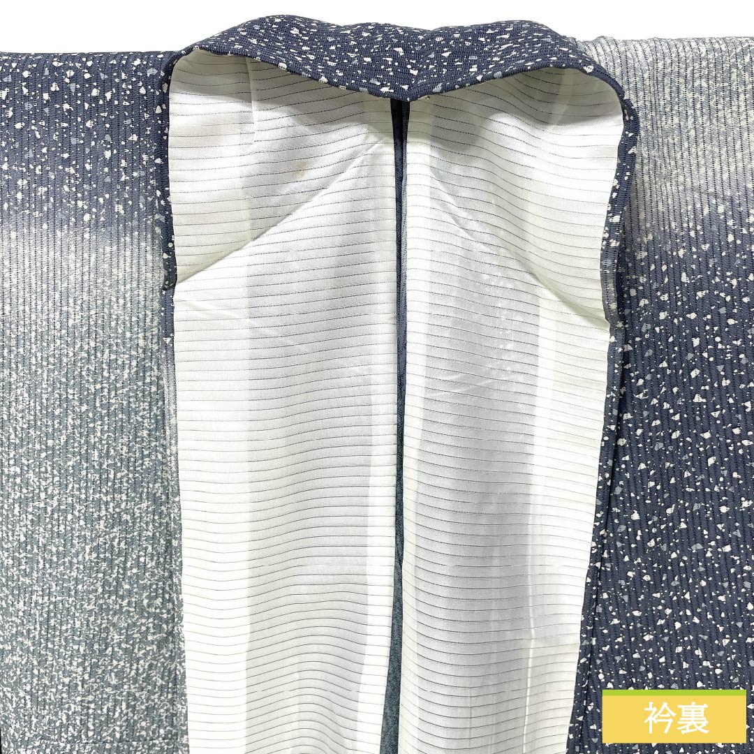 夏物 正絹 訪問着 Aランク 身丈161.5cm 裄丈66cm 浅葱鼠色（あさぎねずいろ） 竪絽 江戸小紋 タタキ染 絽 青系 1132005043417